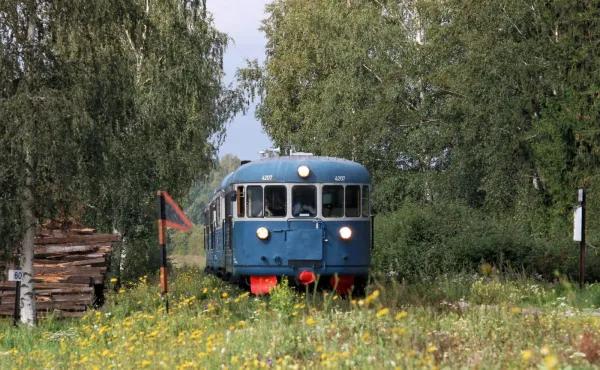 Kiialan seisake